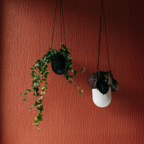 Duo-amppeliruukku, musta, 14 cm
