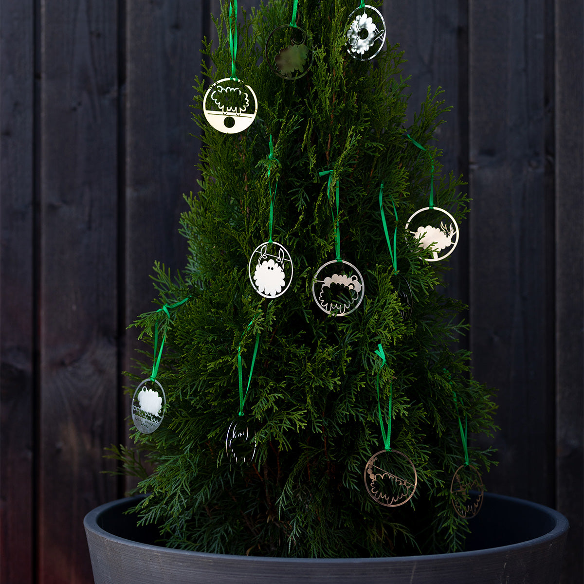 Pässi-koriste, Vesimies, hopea