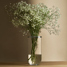 Duo-lasimaljakko, kirkas ja hopea, 24 cm